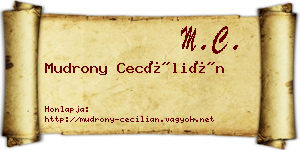 Mudrony Cecílián névjegykártya